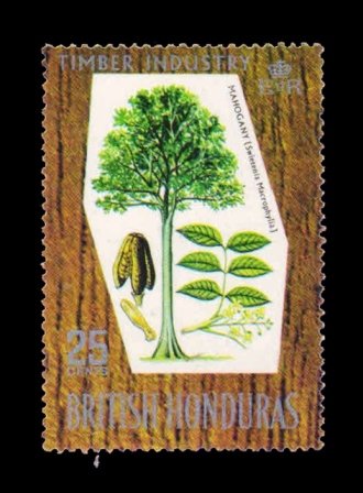 BRITISH HONDURAS 1969 - Mahogany Hardwood, Plant and Flower, 1 Value Stamp, Used, S.G. 275