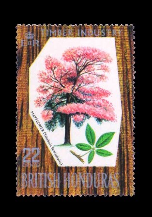 BRITISH HONDURAS 1969 - Mayflower, Plant, 1 Value Stamp, Used, S.G. 274