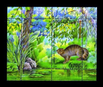 MOLDOVA 2006 - Cat, Animal, Flora and Fauna, Miniature Sheet, MNH, S.G. MS 555