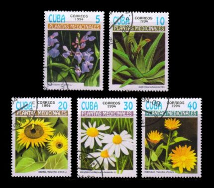 CUBA 1994 - Medicinal Plants, Sage, Sunflower, Pot marigold, Set of 5 Stamps, Used, S.G. 3882-3886