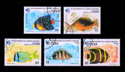 CUBA 1995 - National Aquarium, Queen Angelfish, Marine Life, Set of 5 Stamps, Used, S.G. 3956-3960