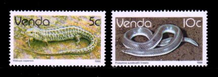 VENDA 1986 - Reptiles, Snake, 2 Different Stamps, MNH