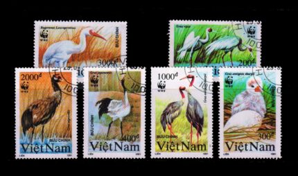 VIETNAM 1991 - Birds, Crane, Set of 6 Stamps, Cancelled, S.G. 1557-1562