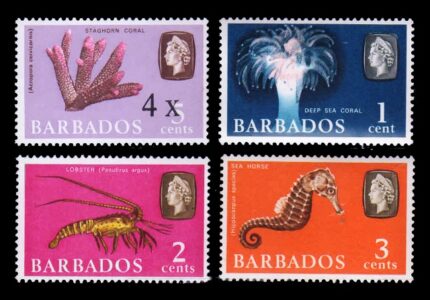 BARBADOS 1965 - Deep Sea, Set of 4 Stamps, MNH, S.G. 323-326