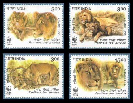 INDIA 4-10-1999, Endangered Species, Asiatic lion (Panthera leo persica), Set of 4 Stamps, MNH, S.G. 1867-1870