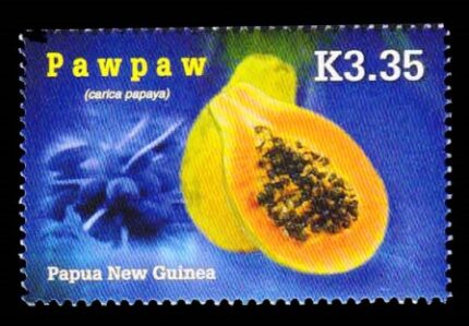 PAPUA NEW GUINEA 2007 - Paw Paw Fruit, 1 Value Stamp, MNH, S.G. 1156, Cat. £ 3.00