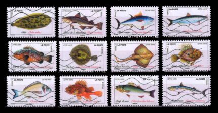 FRANCE 2019 - Ocean Fishes, Set of 12 Stamps, Used, S.G. 6590-6601