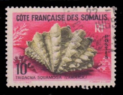 FRENCH SOMALI COAST 1962 - Fluted Giant Clam, Shells of the Red Sea, 1 Value Used Stamps, S.G. 462, Cat. £ 1.80