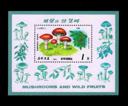 NORTH KOREA 1989 - Fungi, Miniature Sheet, MNH, S.G. MS N2859, Cat. £ 4.50