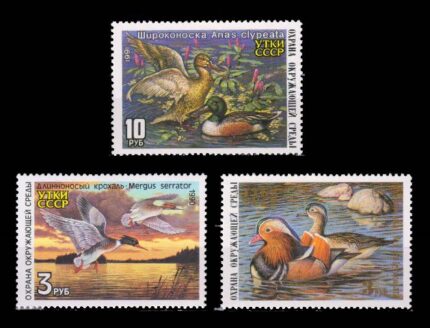 RUSSIA 1990 - Conservation of Water Fowl, Birds, Set of 3 Stamps, MNH