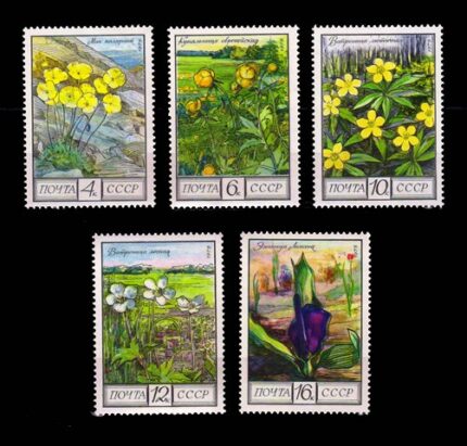RUSSIA 1975 - Flower, Flora, Complete Set of 5 Stamps, MNH, S.G. 4466-4470