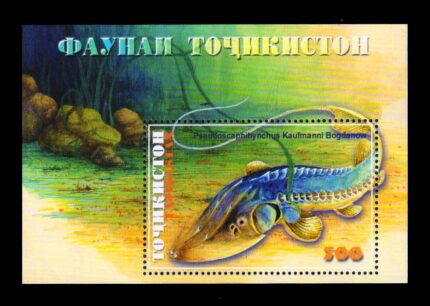 TAJIKISTAN 2000 - Fish, Miniature Sheet, MNH, S.G. MS 160, Cat. £ 4.50